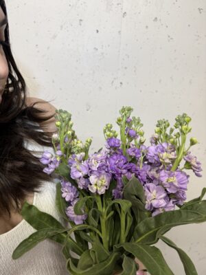 Stock Flower Bouquet