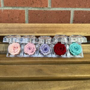 Crystal Rose Collection